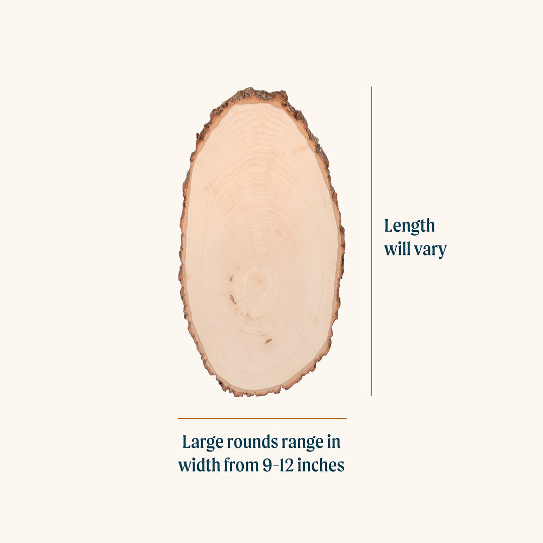 Basswood Round, Large 9-12" Wide