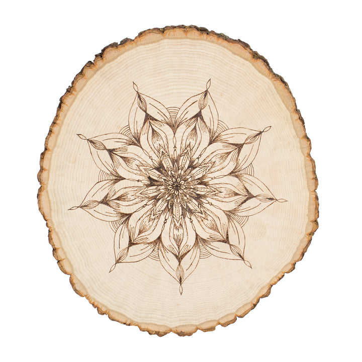 Thick Rustic Basswood Round, 10-14" Wide