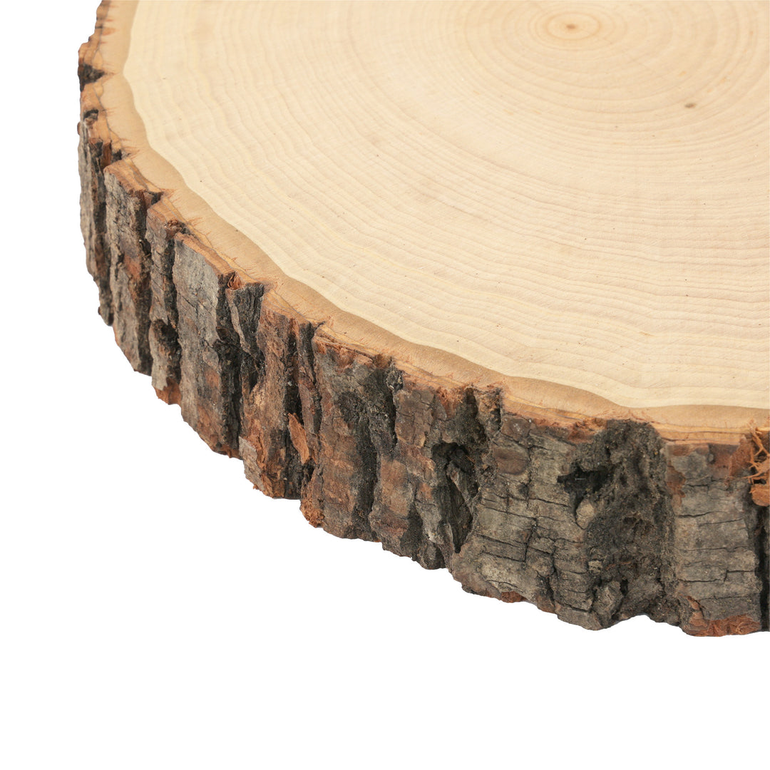 Thick Rustic Basswood Round, 10-14" Wide