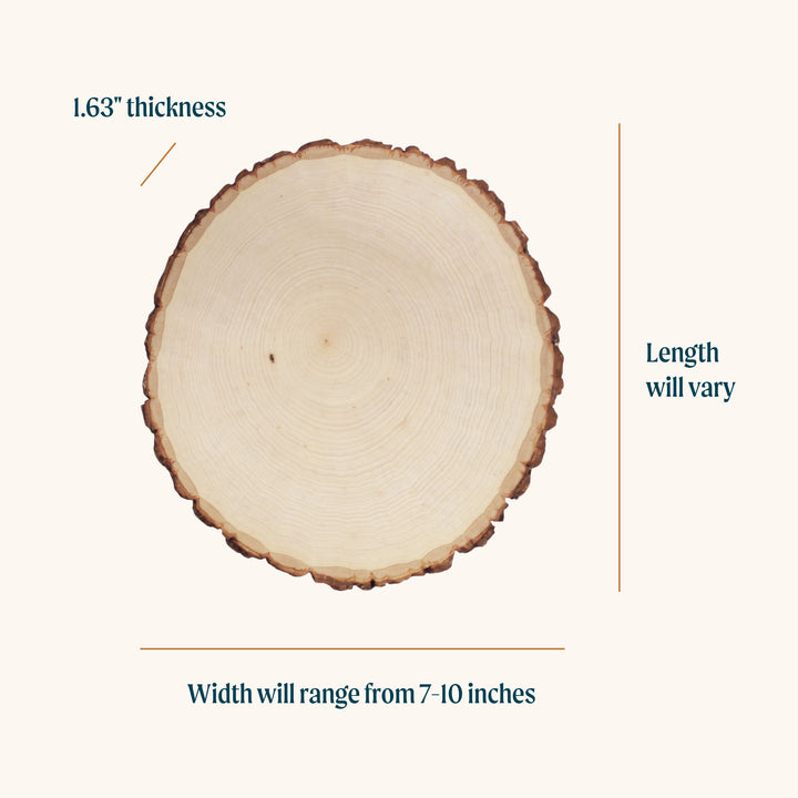 Thick Rustic Basswood Round, 7-10" Wide