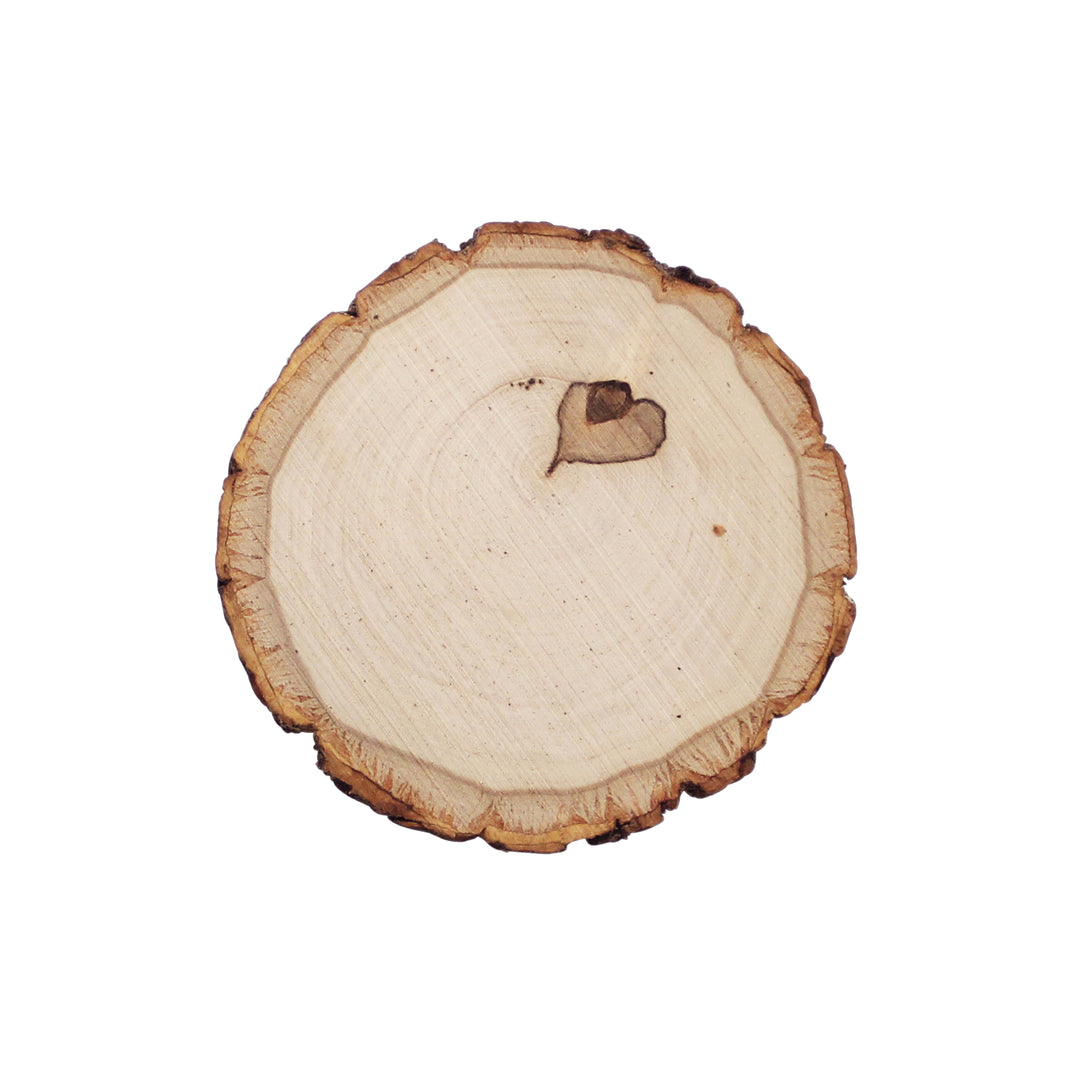 Live Edge Basswood Coaster, 3-1/2"-5" Wide