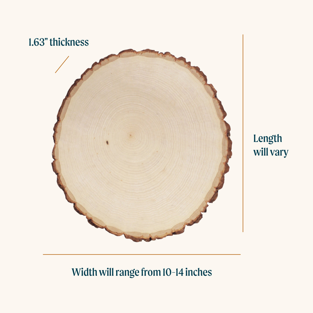 Thick Rustic Basswood Round, 10-14" Wide