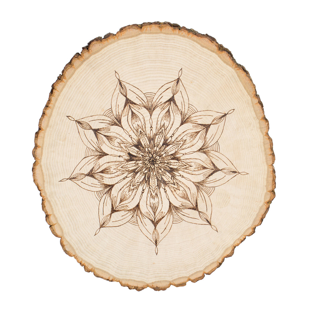 Thick Rustic Basswood Round, 7-10" Wide