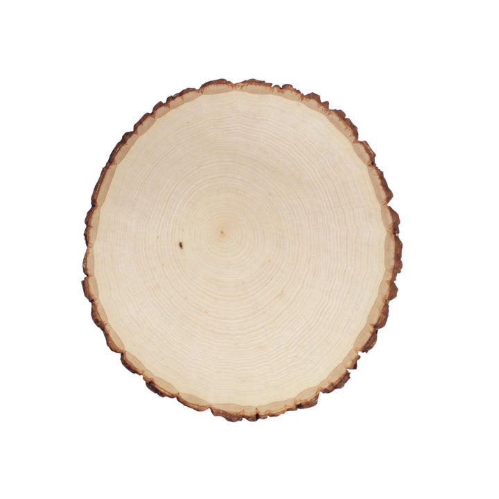 Thick Rustic Basswood Round, 7-10" Wide