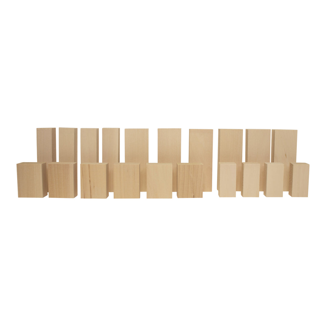 Assorted Basswood Carving Blocks (20-Piece)