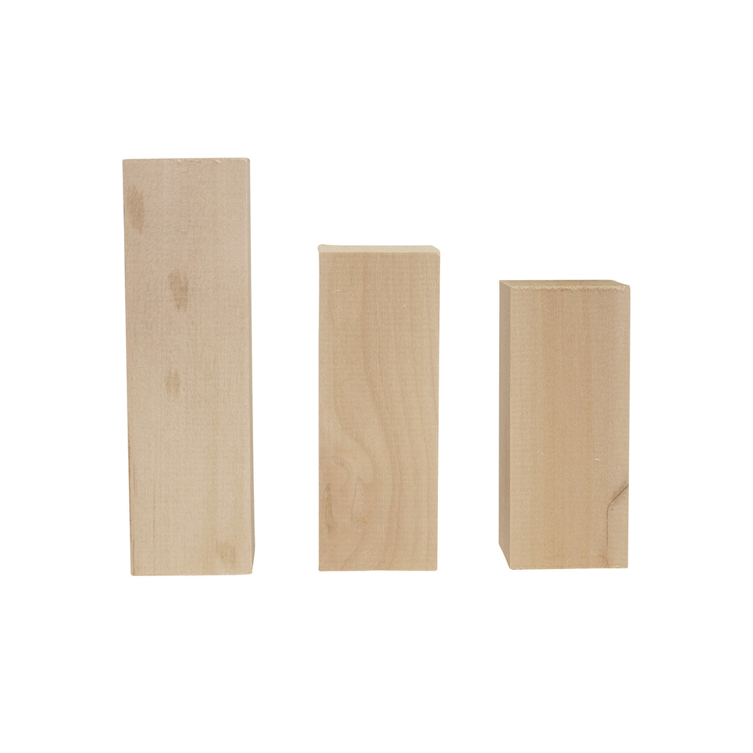 Assorted Basswood Carving Blocks (20-Piece)