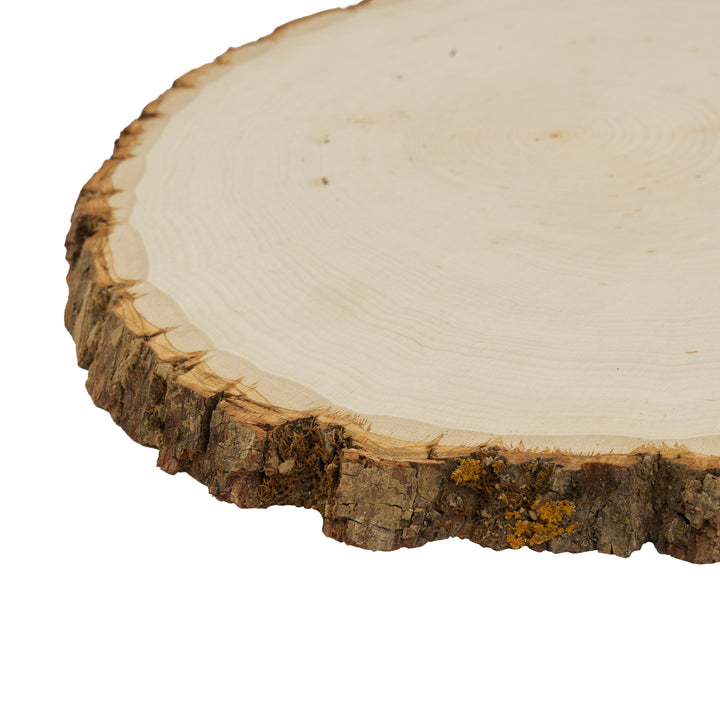 Basswood Round, Extra Large 12-14" Wide