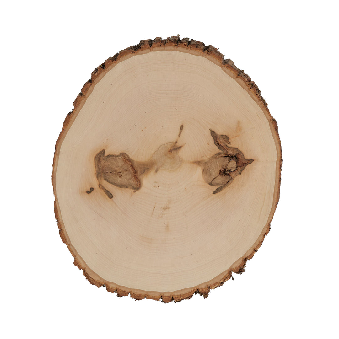 Basswood Round, Extra Large 12-14" Wide