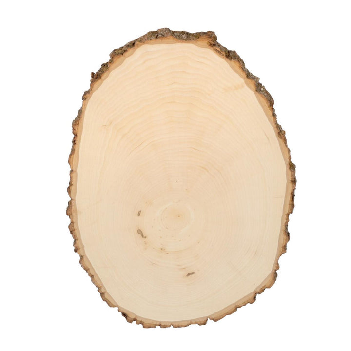 Basswood Round, Large 9-12" Wide