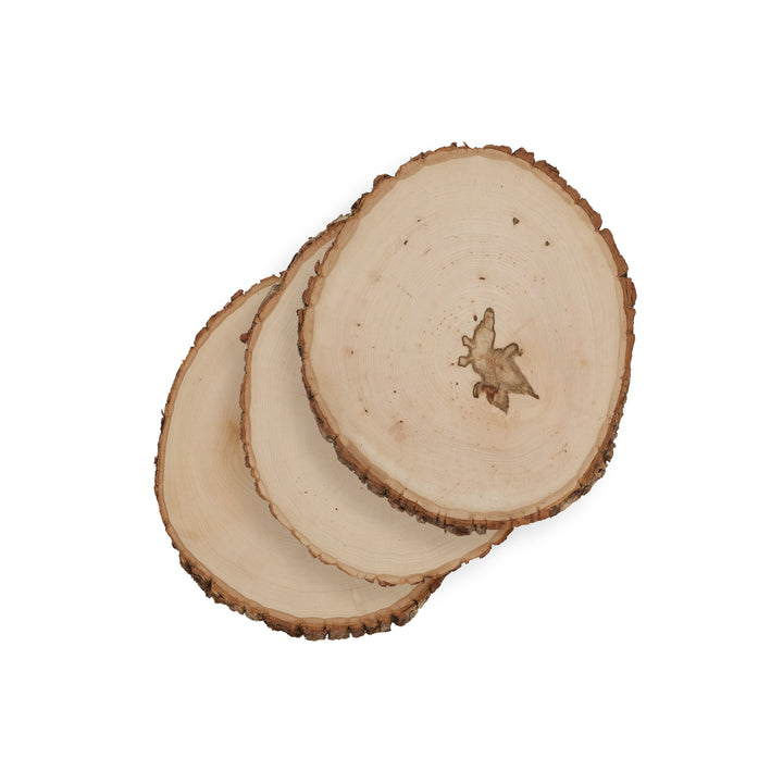 Basswood Round, Extra Large 12-14" Wide