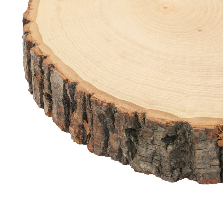 Thick Rustic Basswood Round, 7-10" Wide