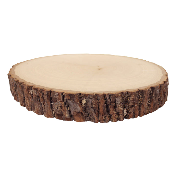 Thick Rustic Basswood Round, 10-14" Wide