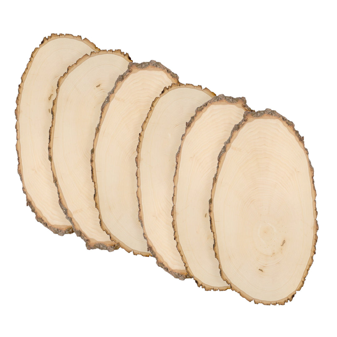 Basswood Round, Large 9-12" Wide